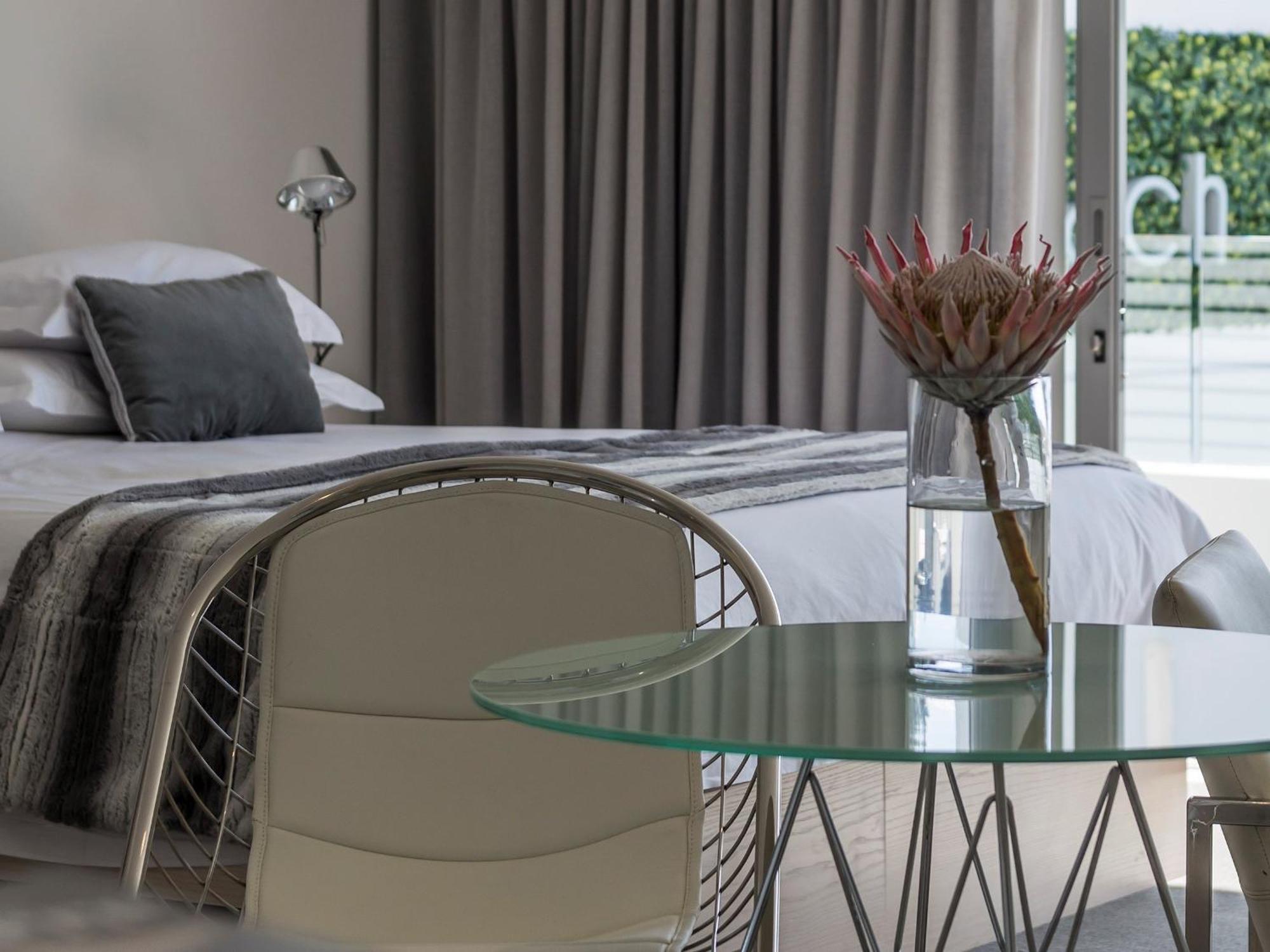 South Beach Camps Bay Boutique Hotel Kapské Město Exteriér fotografie A Protea in a hotel room